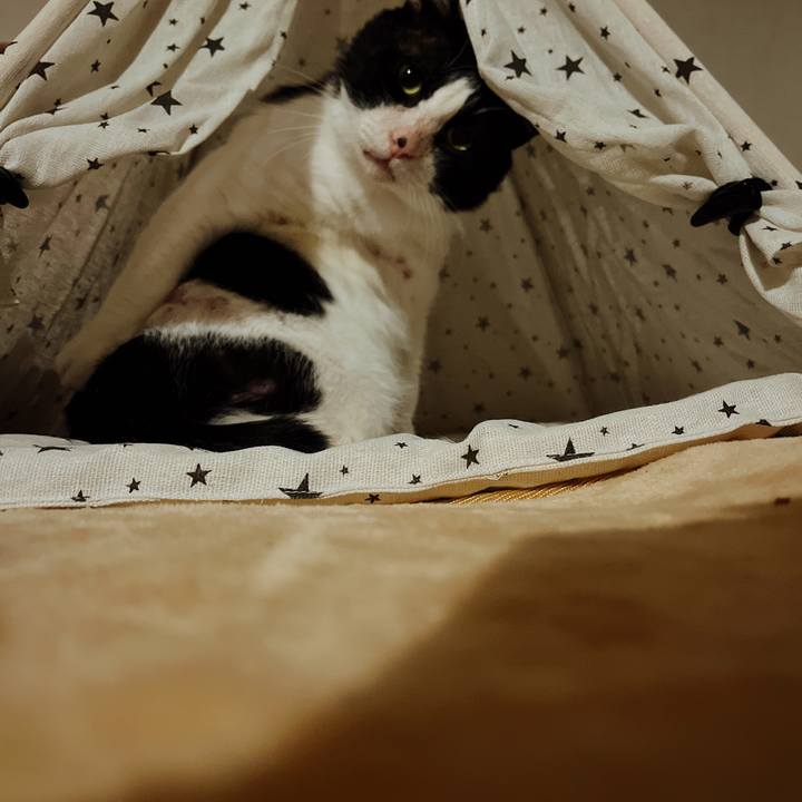 Fbd9e870 9c38 451e 9403 4ad26e97cf9c 1640605274113