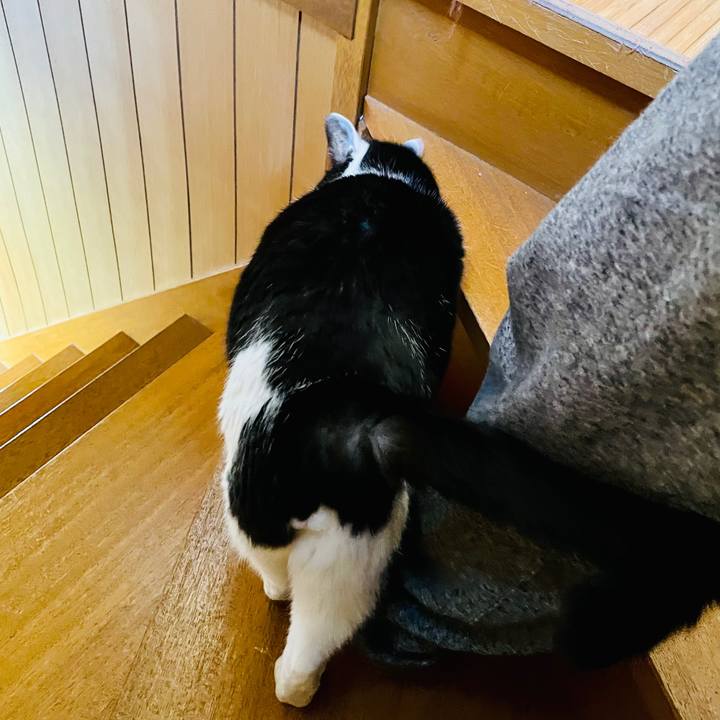 Fbd9ffba 84d4 413e 921d ba7140074154 1613954603463