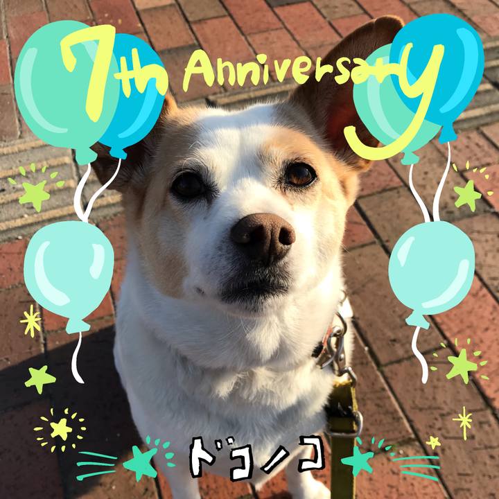 Fbda317c a680 427b 83f5 079d63175f88 1685970026944