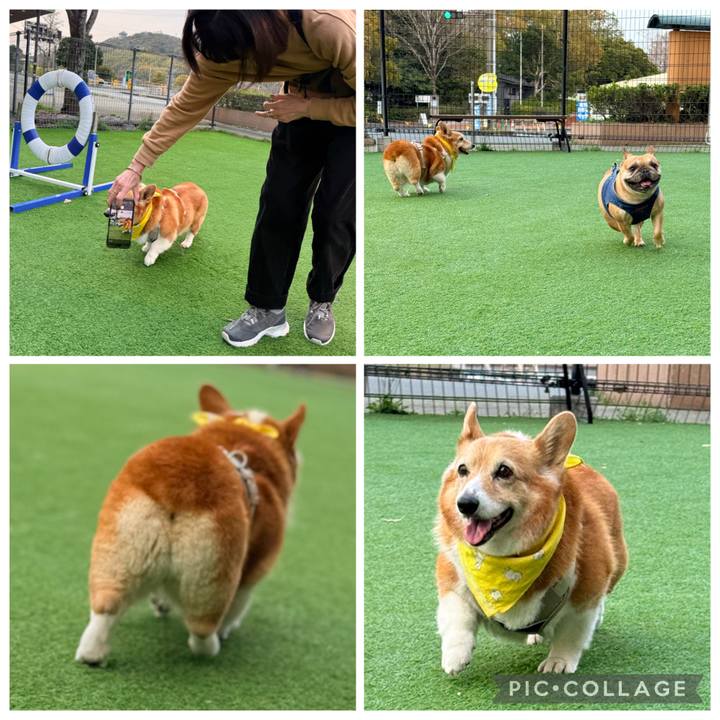 Fbda3897 1329 4831 8025 69cd2d336750 1774577416758