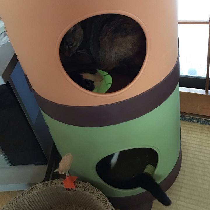 Fbda4089 97c8 4859 8ee8 20a3d523fd90 1685163921622