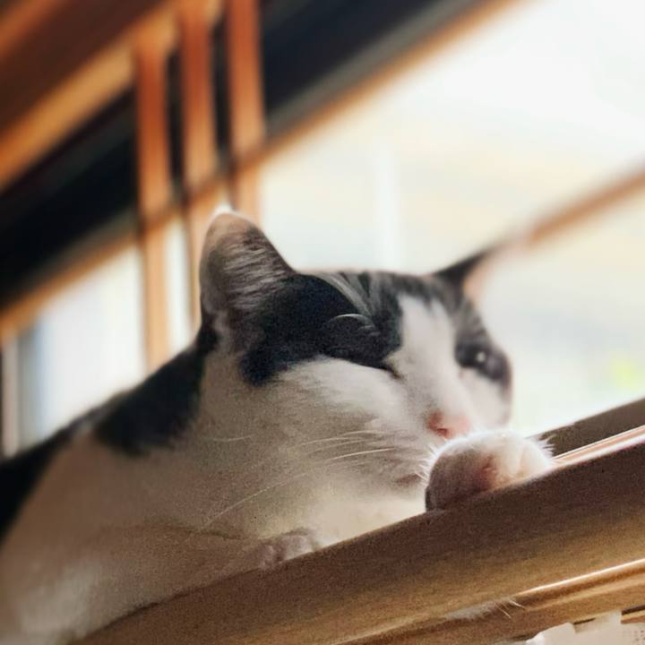 Fbda44da 57c7 4345 be7d 48ae4043bfe5 1599360321476