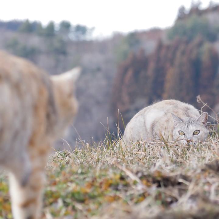 Fbda6d75 18c0 49bd 857e a88004d4e479 1773315898543