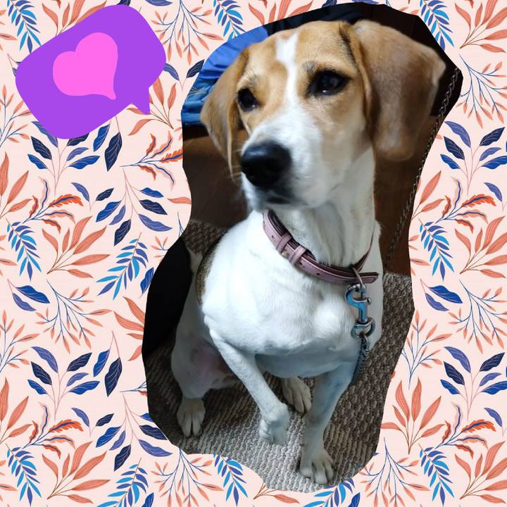 Fbda7f0b d10c 4160 b6f7 631d7269913a 1602400826501