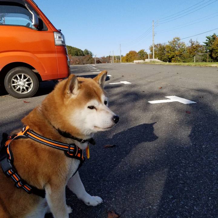 Fbdaa4f0 5415 48c1 bdd1 87a7e77733b0 1604123308052