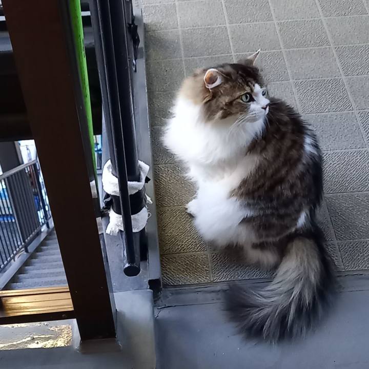 Fbdb102a 813d 44db bff2 696a29dff0f4 1657401727037