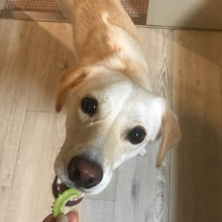 Fbdb56d8 66c4 4c98 9034 b9b9b5325b2c 1535290143433