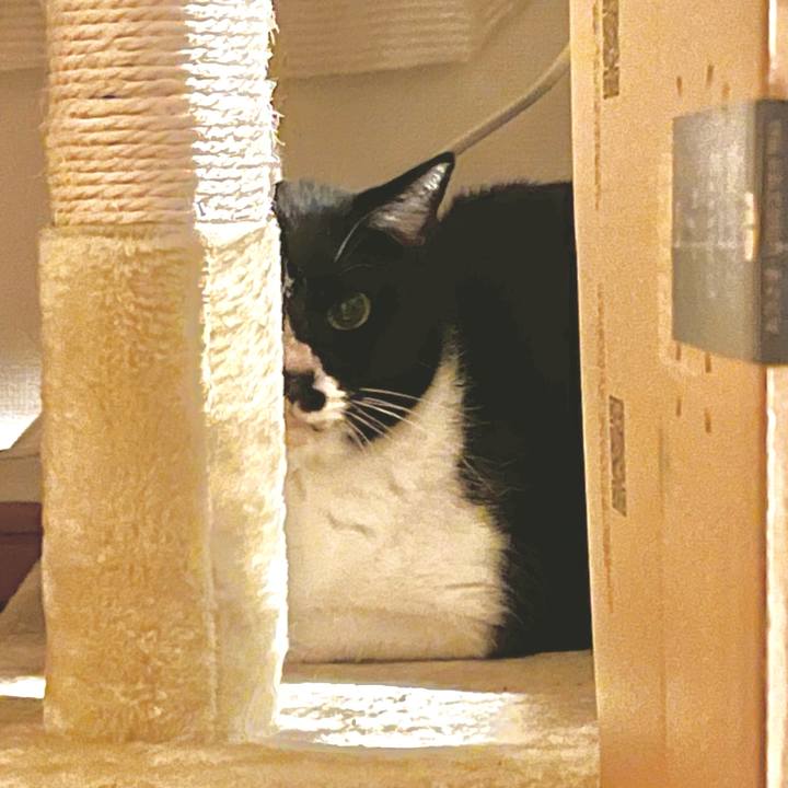 Fbdb7135 018e 4d65 a530 5e5fae5af5f3 1707000633746