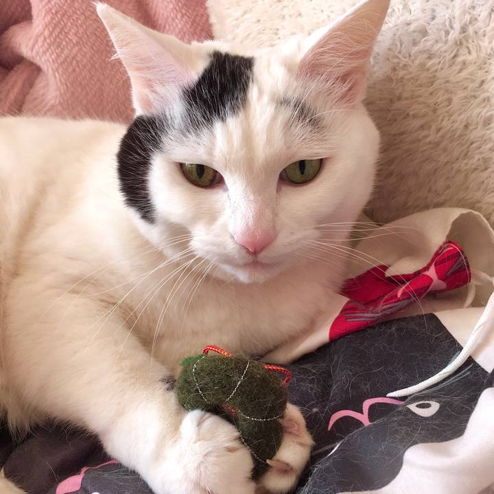 Fbdb76ec fac3 49ad 9f8c e3ba9c4a6562 1577274976301