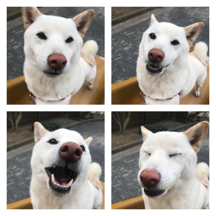 Fbdb78c0 0824 43c4 b11e a20ae5ef7f65 1510529837344