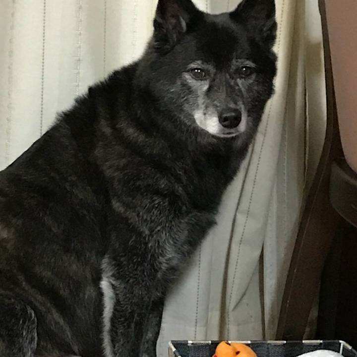 Fbdb78fe df11 466f 920d 5f7608401ccd 1533560113046