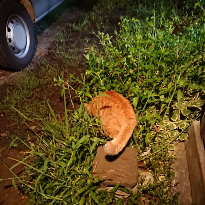 Fbdba8f1 3896 471a 886d d9cc3bfddded 1566388372510