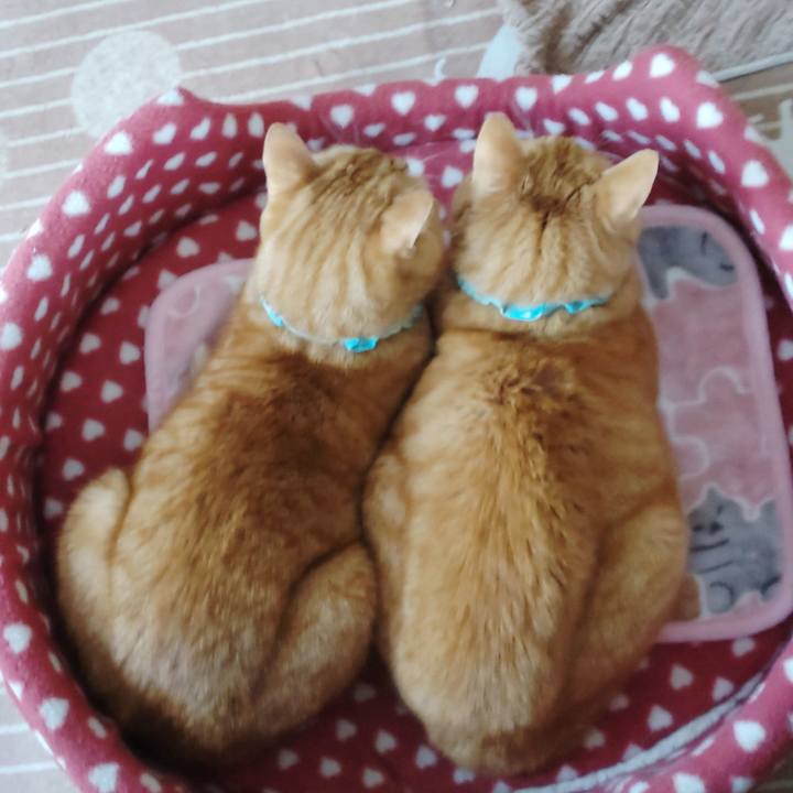 Fbdbc991 49a4 4fec 8a05 85c24d01efec 1734079160450