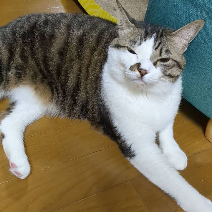 Fbdbcedc fdfa 4bb9 b683 9ae6055ef5ed 1675770749932