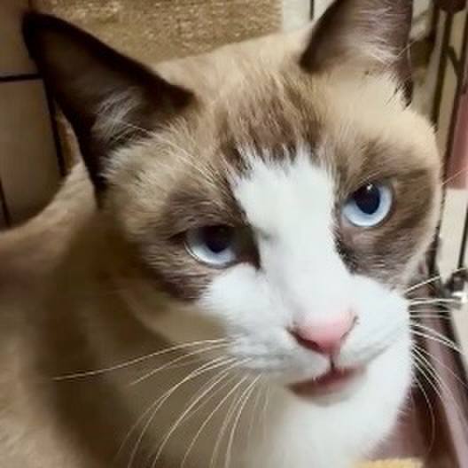 Fbdbd981 da42 4d14 8e8b 656ce5f2813d 1763200789961