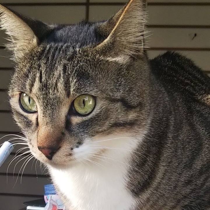 Fbdc0bae e91b 4e5c 85a2 a73617d568bf 1707323639017