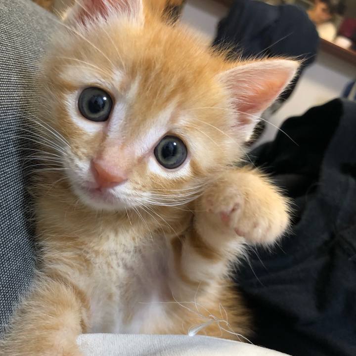 Fbdc2a50 8782 41c6 92a5 a389ab56a3c2 1561202865637