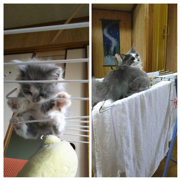 Fbdc408f ea9b 4347 9964 911aa66920aa 1577001075871