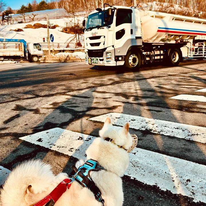 Fbdc5ac4 08f2 4693 acb9 44b4e987e053 1774305096131