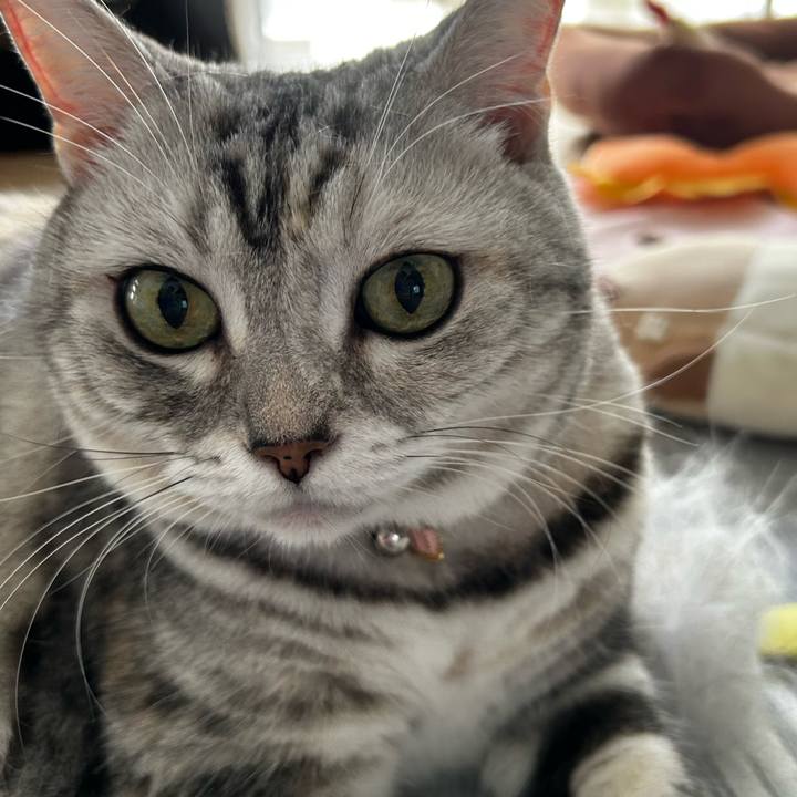 Fbdcb317 055c 4dab 8c6e c0493e52c070 1759538492346