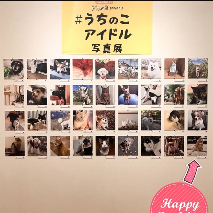 Fbdcccc7 9eb2 4307 ad29 bbd3539f5335 1764938788133