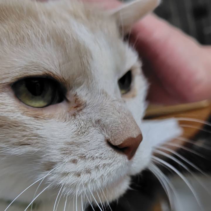 Fbdce8f0 2f40 4795 9fb3 b4be30f6ad7c 1771071753594