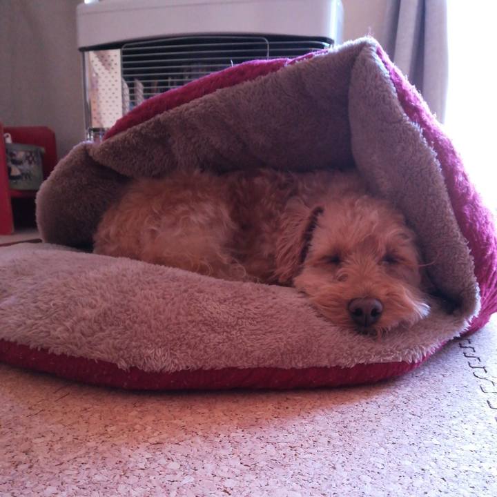 Fbdcf130 661e 471f 8117 cddf32fdb9d8 1555807075919