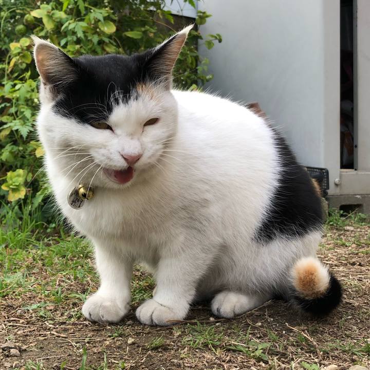 Fbdd0465 34d0 4e0d b687 6148d09c7b04 1606614012457