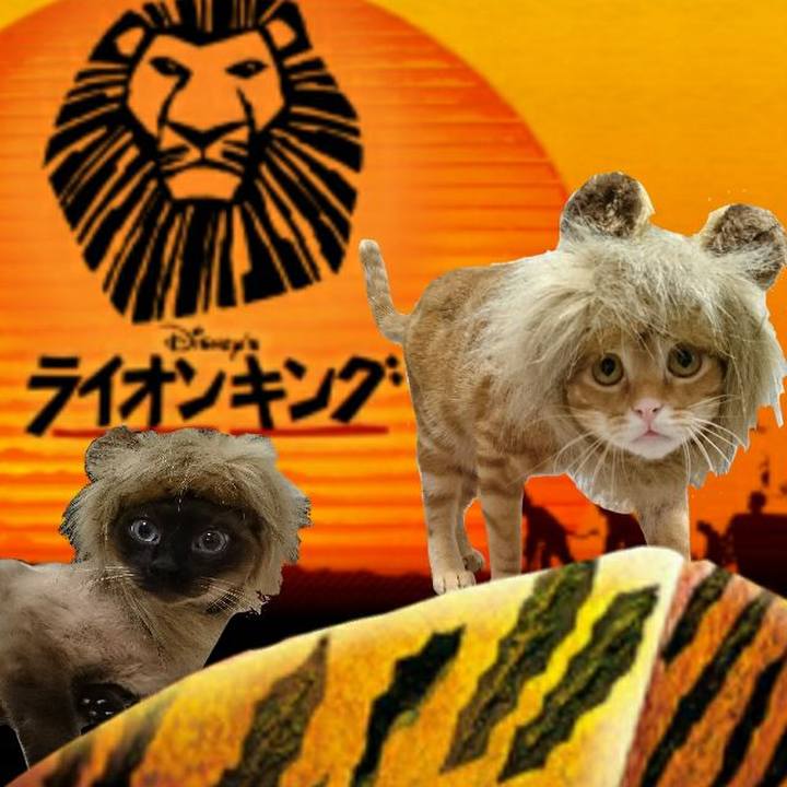 Fbdd0603 cd3d 496e bbf3 82afa6b98368 1541251392531