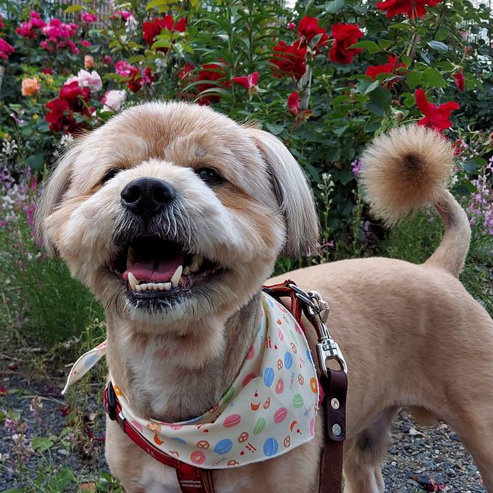 Fbdd1265 ae12 4696 bf48 b623f326586b 1620640359450