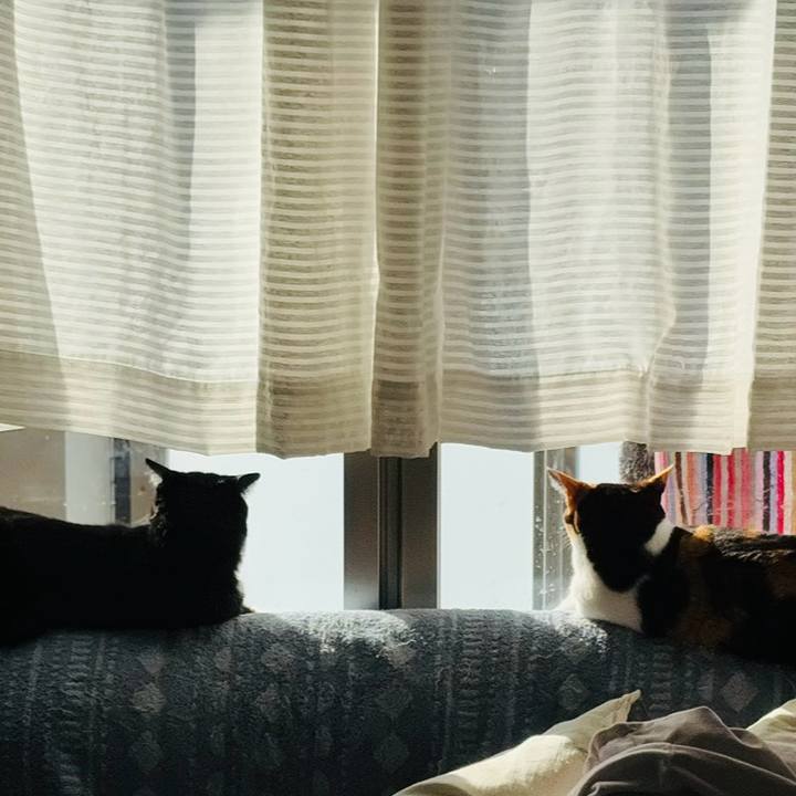 Fbdd5b42 5a1a 46ff 839e 41564f940ca1 1772322011586