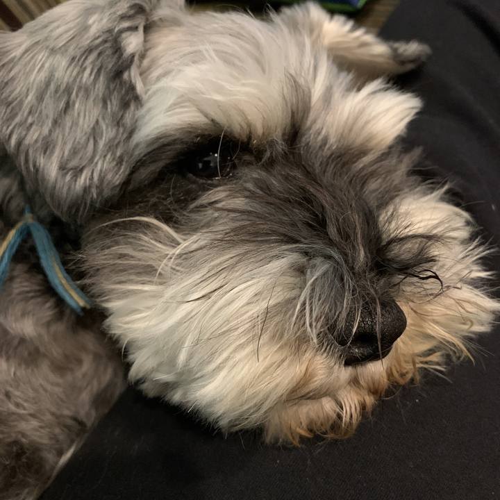 Fbdd6eb3 90c1 4356 a5f7 2c37c7a01fbf 1589078663604