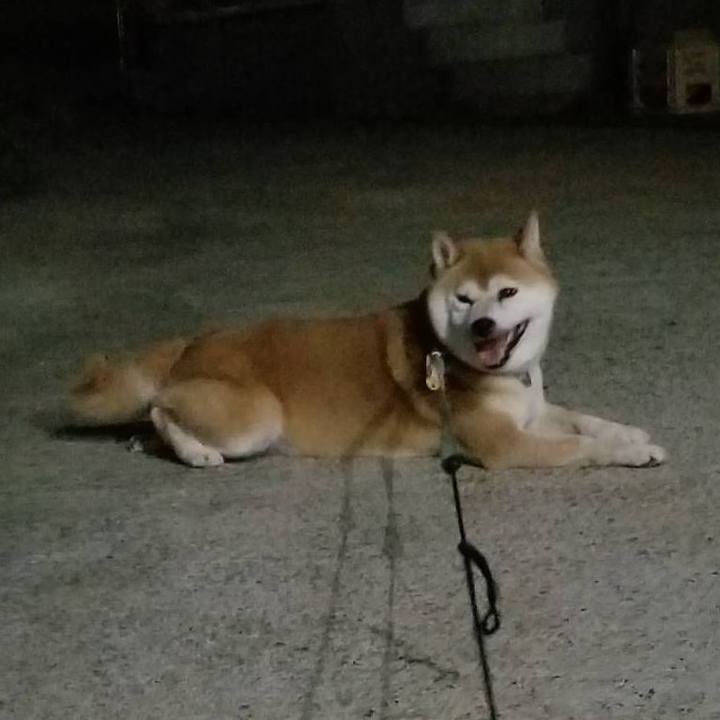 Fbdd7ea2 78b4 4f58 a172 fe623831c83b 1567936227996