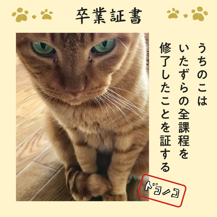 Fbddca27 0bde 4a11 940c ac88e90f7fe9 1771914978870