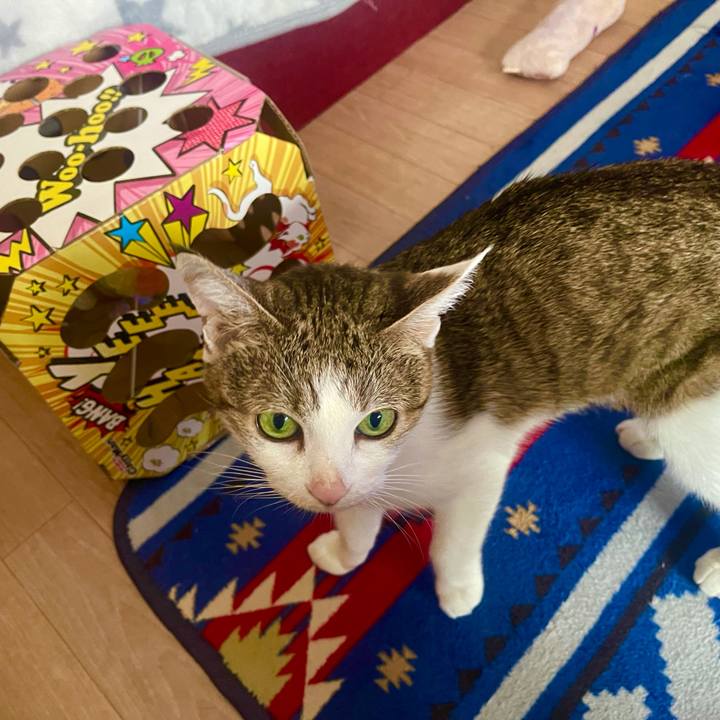 Fbddde1a 6fca 418b 9b26 38de23ee87c7 1632096893250