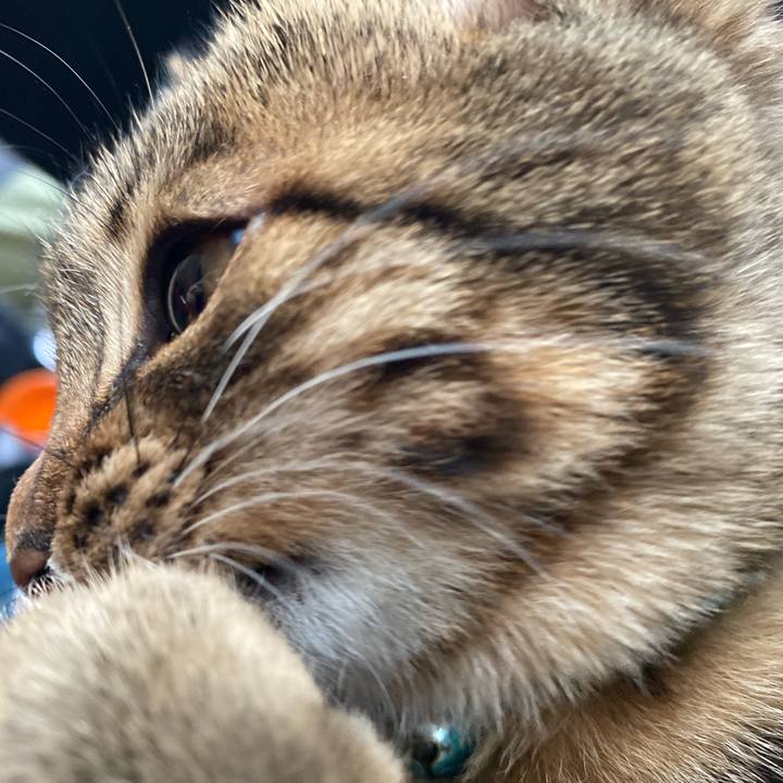 Fbdde79d 3eac 4ef3 b36b 41aa8dab2cb1 1644220133464