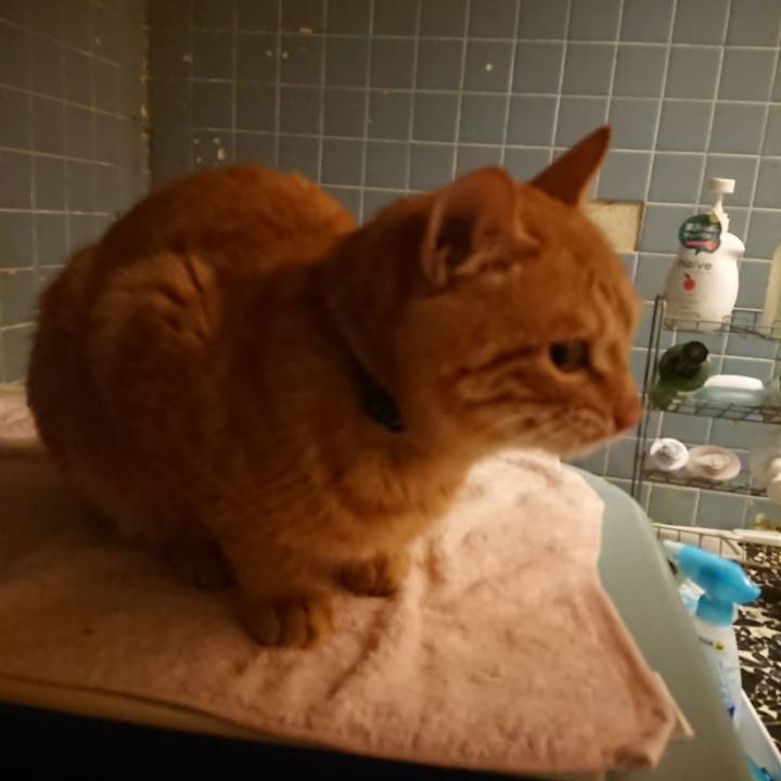 Fbddf73b e3f2 4cc5 adbd 66be593417ec 1640779040870