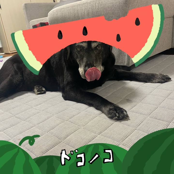 Fbde7dcd 8fda 40fd 93cf d0285de0083d 1720928339449