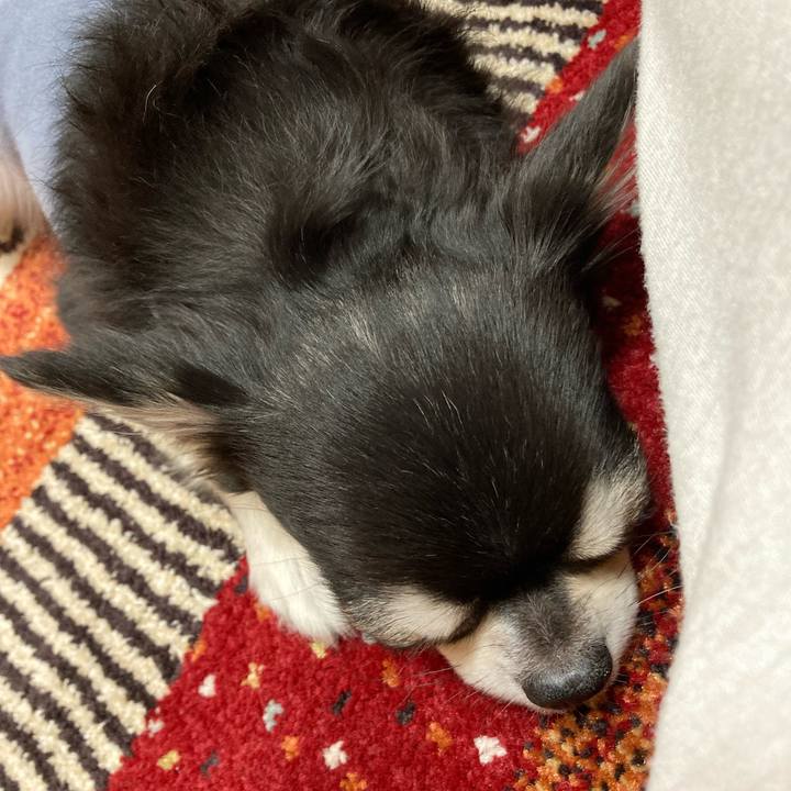 Fbdea53a 43bb 4bce adb9 47eba577678e 1671288483762