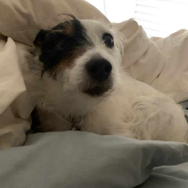 Fbdec50c 3420 402a 971e 358d1d06056d 1618495073924