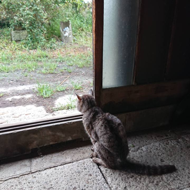 Fbdec9b7 22fc 47a4 8bdf 2722569def71 1598910534069