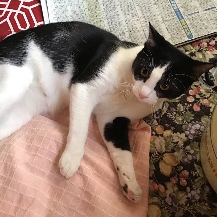 Fbdecf2f 9c5b 433e 9ac6 44b2eac07a2d 1637363812521