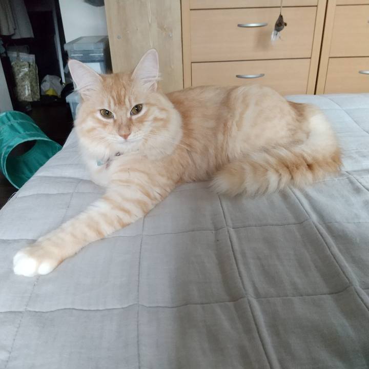 Fbded511 e540 435e b2c6 c9a89e334734 1634355418724