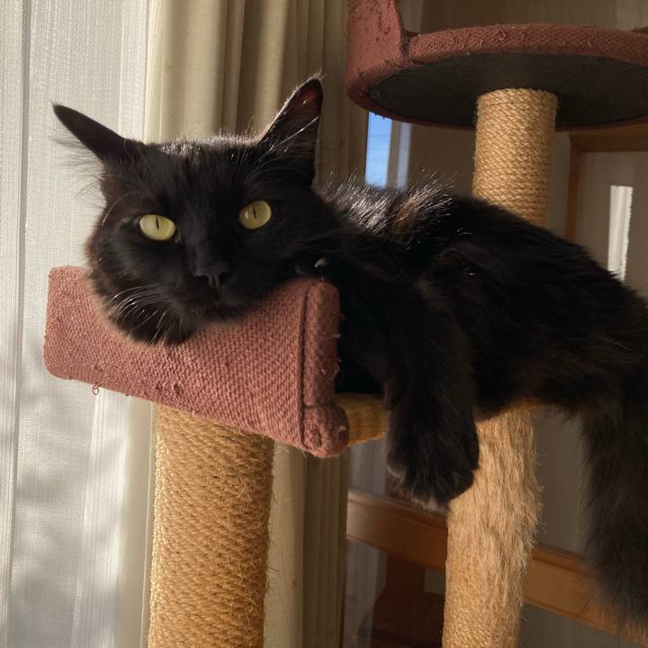 Fbdee54f ffc3 4592 ab02 abad448ba45f 1733913702049