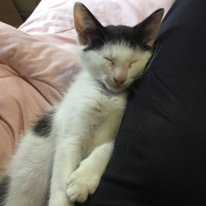 Fbdeeb73 ecab 4927 8119 3556e5f0ef05 1530440241234