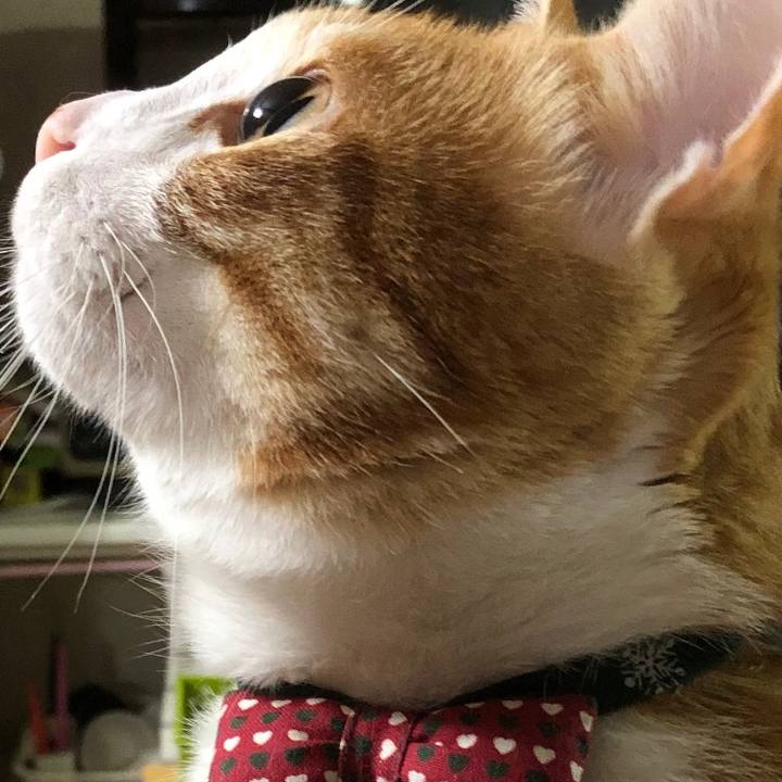 Fbdf3605 329b 4432 9845 4301550b7349 1545739671249