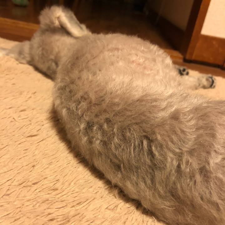 Fbdf573b 9a32 4f91 a57a 73705764ce97 1589631867986