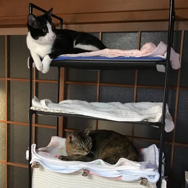 Fbdf894d acf7 4f90 99db da909ef4dacf 1636273853042