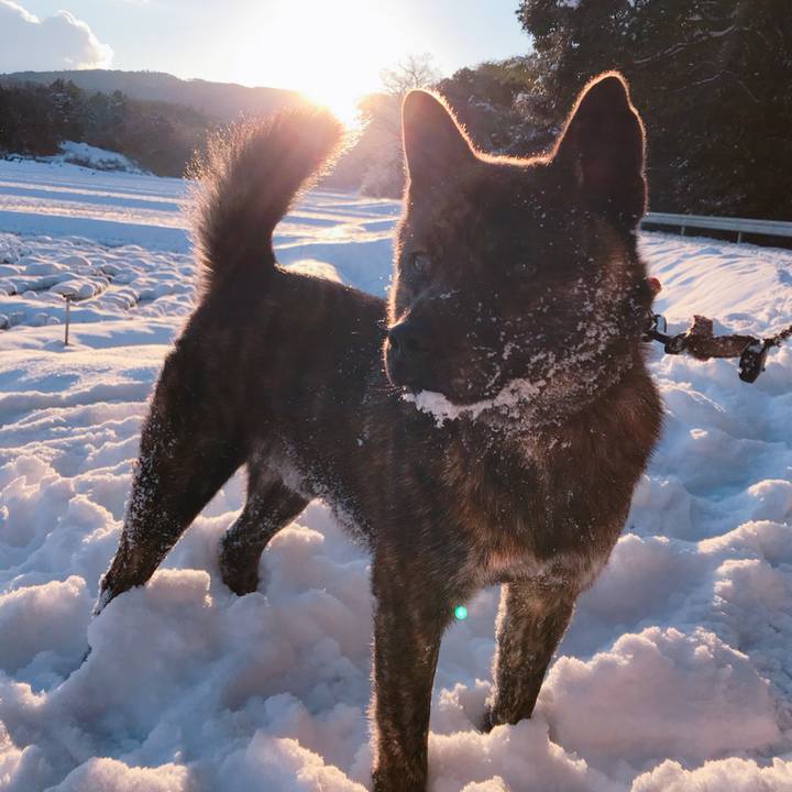 Fbdfa528 89aa 46f0 a177 cab7ae3181d0 1515815987534