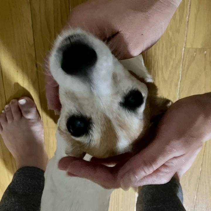 Fbdfb132 a92a 422d bb47 c972a3a0b108 1700056442467